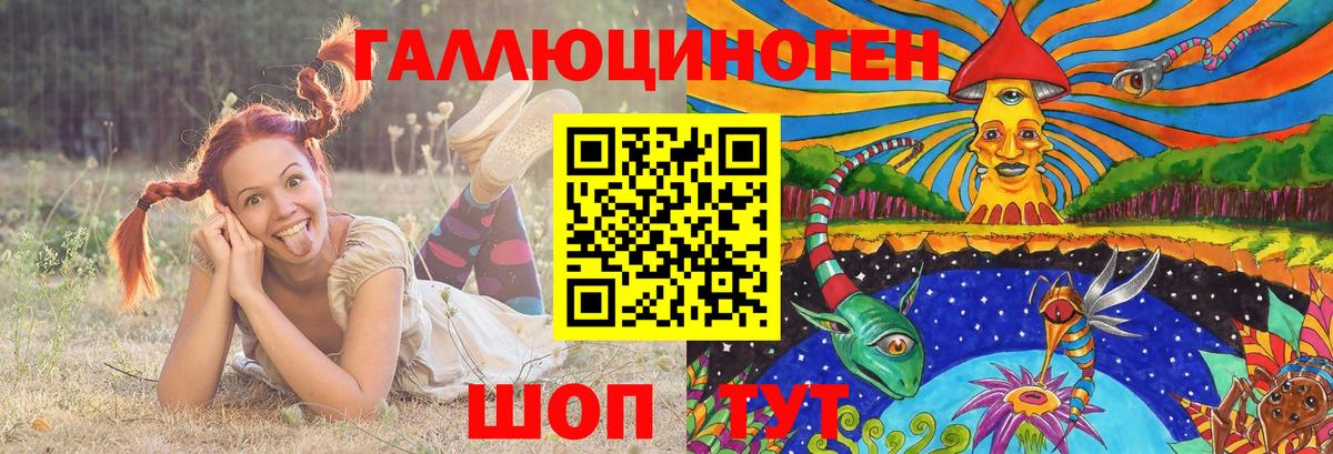 Псилоцибиновые грибы Psilocybine cubensis Озёры